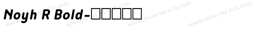 Noyh R Bold字体转换